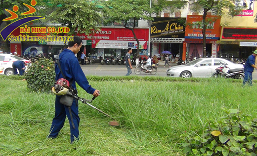 máy cắt cỏ honda cắt cỏ lề đường